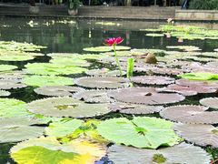 -星巴克(西湖天地店)