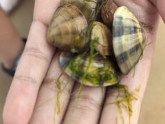 -青岛银沙滩