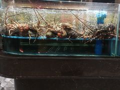 -阿伟海鲜楼·福建菜(延寿店)