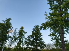 -咸阳湖景区