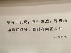 -猫的天空之城概念书店(苏州平江店)