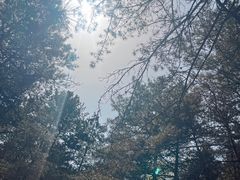 -帽儿山国家森林公园