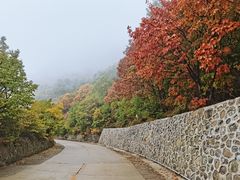 -白草畔自然风景区