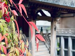 -难波八坂神社