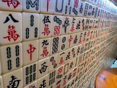 -美芝莲(东方宝泰店)