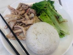 手撕鸡饭-宝兴源记手撕鸡(第88分店)