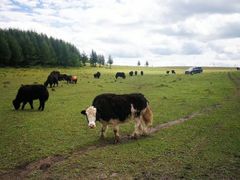 -塞罕坝国家级自然保护区