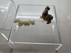-旅顺博物馆