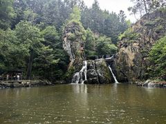 -茅兰沟国家森林公园