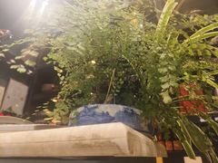 -福照楼汽锅鸡·云南特色菜(万达广场店)