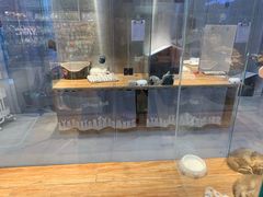 -狗道宠物(常熟印象城店)