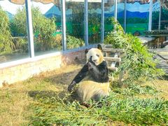 -苏州太湖国家湿地公园