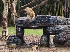 -杭州野生动物世界