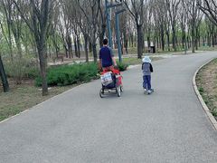 -东郊湿地公园