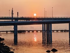 -深圳湾公园(南山区)