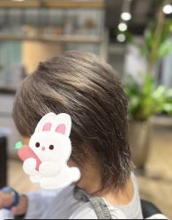 -Mentor Hair Salon