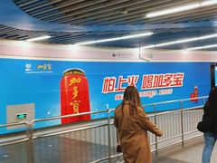 -大望路(地铁站)