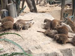 -广州长隆野生动物世界