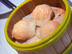 -东方早茶 海鲜•青岛菜(国信体育中心店)