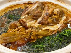 河豚-沁园春酒店(沿河街店)