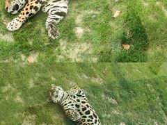 -乐和乐都主题乐园