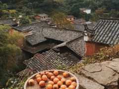 -杨家堂村