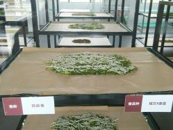 -太湖雪蚕桑文化园