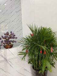 -SOR索尔祛痘·面部肌肤管理