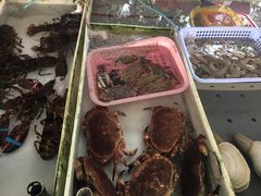 -南沙十九涌渔人码头-南门