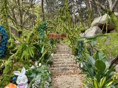 -沂蒙山旅游区云蒙景区(蒙山国家森林公园)