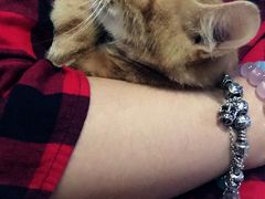 -赢吧Bliss音乐酒吧