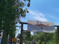 -前小桔亲子创意农场·草莓采摘·露营烧烤