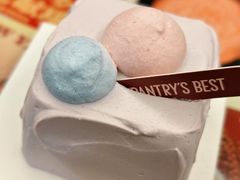 花青莓果方块蛋糕-Pantry’s Best派悦坊蛋糕(虹口龙之梦店)