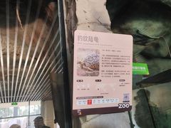 -武汉动物园