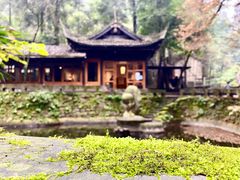 -凤栖山
