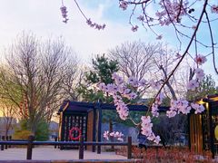 -三里河公园