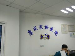 -康成宠物医院24H·CT·核磁共振