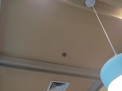 -客临百思德·东北特色馆(龙湖时代天街店)