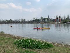 -白鹭湾湿地公园