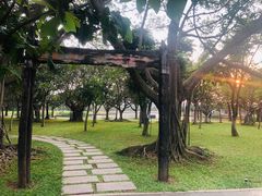 -万绿园