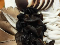 -清真·噃茄树黄柿子火锅