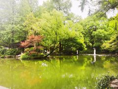 -杭州植物园