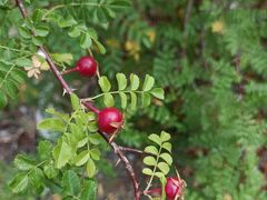 -白水寺森林公园