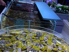 -聚盛源蒸汽海鲜火锅烤肉自助(巨川金海岸购物广场店)