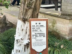 -东山雕花楼