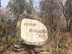 -白水寺森林公园