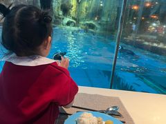 -帝企鹅自助餐厅•儿童岛•真企鹅(长隆企鹅酒店)