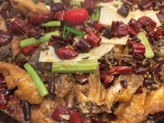 -老板恋上鱼(印象城店)