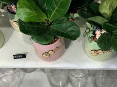 -花未央花店·WEYOUNG