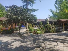 -源泉冷水鱼庄(小鱼洞店)